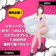 ヒメ日記 2025/12/12 16:42 投稿 めろ 宮城多賀城ちゃんこ