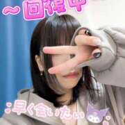 ヒメ日記 2025/06/03 07:31 投稿 めろ 宮城仙南ちゃんこ