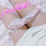 ヒメ日記 2025/06/06 07:41 投稿 めろ 宮城仙南ちゃんこ