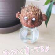 ヒメ日記 2025/06/22 12:21 投稿 めろ 宮城仙南ちゃんこ