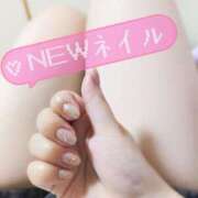 ヒメ日記 2025/06/23 21:34 投稿 めろ 宮城仙南ちゃんこ