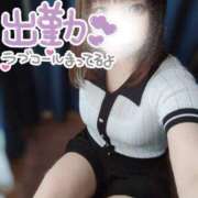 ヒメ日記 2025/06/29 14:21 投稿 めろ 宮城仙南ちゃんこ