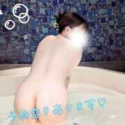 ヒメ日記 2025/07/30 07:51 投稿 めろ 宮城仙南ちゃんこ