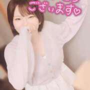 ヒメ日記 2025/07/31 12:41 投稿 めろ 宮城仙南ちゃんこ