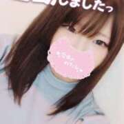 ヒメ日記 2025/08/15 11:02 投稿 めろ 宮城仙南ちゃんこ