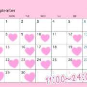 ヒメ日記 2025/09/02 10:21 投稿 めろ 宮城仙南ちゃんこ