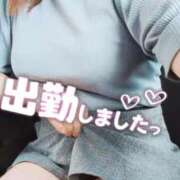 ヒメ日記 2025/09/14 11:21 投稿 めろ 宮城仙南ちゃんこ