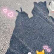 ヒメ日記 2025/11/28 14:02 投稿 めろ 宮城仙南ちゃんこ