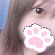 ヒメ日記 2025/09/08 15:21 投稿 ゆあ 宮城仙南ちゃんこ