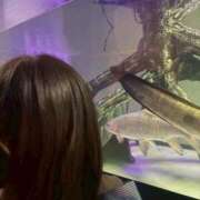 ヒメ日記 2026/02/19 08:01 投稿 ゆあ 宮城仙南ちゃんこ