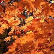 ヒメ日記 2025/09/02 22:21 投稿 みつき 宮城仙南ちゃんこ