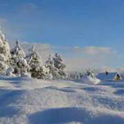 ヒメ日記 2025/12/12 08:11 投稿 みつき 宮城仙南ちゃんこ