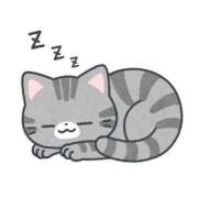 ヒメ日記 2026/02/25 18:51 投稿 みつき 宮城仙南ちゃんこ