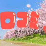 ヒメ日記 2026/03/11 16:41 投稿 みつき 宮城仙南ちゃんこ