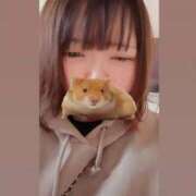 ヒメ日記 2026/03/18 12:51 投稿 みつき 宮城仙南ちゃんこ