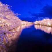 ヒメ日記 2026/03/18 14:41 投稿 みつき 宮城仙南ちゃんこ