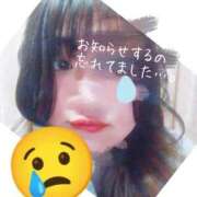 ヒメ日記 2025/05/28 18:02 投稿 らむね 宮城仙南ちゃんこ