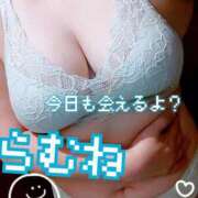 ヒメ日記 2025/10/06 12:02 投稿 らむね 宮城仙南ちゃんこ