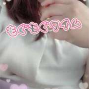 ヒメ日記 2025/09/16 17:31 投稿 はな 宮城仙南ちゃんこ