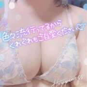 ヒメ日記 2025/11/24 14:21 投稿 はな 宮城仙南ちゃんこ