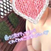 ヒメ日記 2026/01/28 16:01 投稿 はな 宮城仙南ちゃんこ