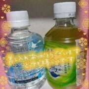 ヒメ日記 2025/05/28 21:51 投稿 なつみ 宮城仙南ちゃんこ