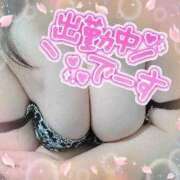 ヒメ日記 2025/08/28 11:21 投稿 なつみ 宮城仙南ちゃんこ