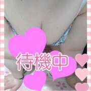 ヒメ日記 2025/08/28 16:01 投稿 なつみ 宮城仙南ちゃんこ