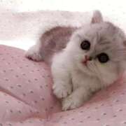 ヒメ日記 2025/06/14 09:41 投稿 みやび 宮城仙南ちゃんこ