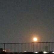 ヒメ日記 2026/04/03 20:14 投稿 みやび 宮城仙南ちゃんこ