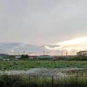 みやび 綺麗な蓮の花 宮城仙南ちゃんこ