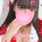 ヒメ日記 2025/11/28 08:41 投稿 せり 宮城仙南ちゃんこ