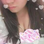 ヒメ日記 2025/11/30 12:21 投稿 せり 宮城仙南ちゃんこ