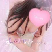 ヒメ日記 2025/12/01 19:01 投稿 せり 宮城仙南ちゃんこ