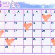 ヒメ日記 2025/06/03 01:21 投稿 らい 宮城仙南ちゃんこ