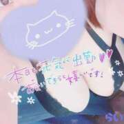 ヒメ日記 2025/06/23 17:21 投稿 らい 宮城仙南ちゃんこ