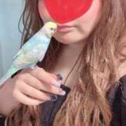 ヒメ日記 2025/08/20 01:08 投稿 のえるさん いけない奥さん 十三店