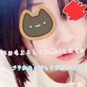 ヒメ日記 2025/05/30 19:31 投稿 さち スピードエコ京橋店