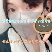 ヒメ日記 2025/06/04 19:02 投稿 さち スピードエコ京橋店