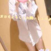 ヒメ日記 2025/06/06 19:03 投稿 さち スピードエコ京橋店