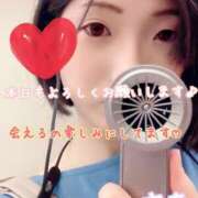 ヒメ日記 2025/06/29 11:02 投稿 さち スピードエコ京橋店