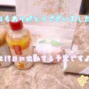 ヒメ日記 2025/07/09 23:41 投稿 さち スピードエコ京橋店