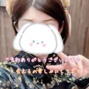 ヒメ日記 2025/08/02 11:11 投稿 さち スピードエコ京橋店