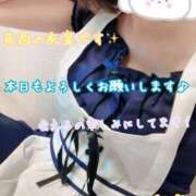 ヒメ日記 2025/08/16 09:51 投稿 さち スピードエコ京橋店