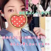 ヒメ日記 2025/09/07 09:58 投稿 さち スピードエコ京橋店