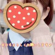 ヒメ日記 2025/11/16 10:01 投稿 さち スピードエコ京橋店