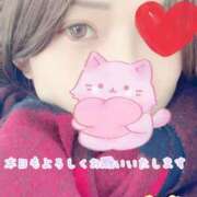 ヒメ日記 2025/11/22 10:02 投稿 さち スピードエコ京橋店