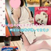 ヒメ日記 2025/11/30 00:01 投稿 さち スピードエコ京橋店