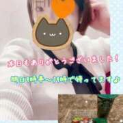 ヒメ日記 2026/01/31 23:31 投稿 さち スピードエコ京橋店