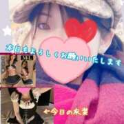 ヒメ日記 2026/02/11 10:02 投稿 さち スピードエコ京橋店